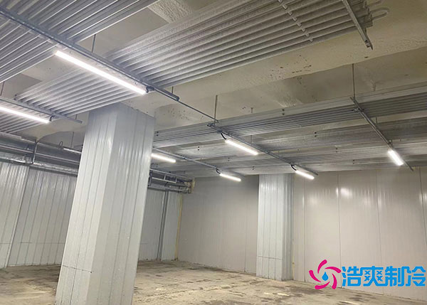 600噸貨物需要建造多大的冷藏庫(kù)？.jpg