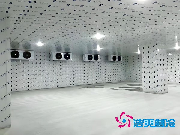 江蘇地區(qū)100平米低溫冷庫(kù)造價(jià)預(yù)算解析-浩爽制冷