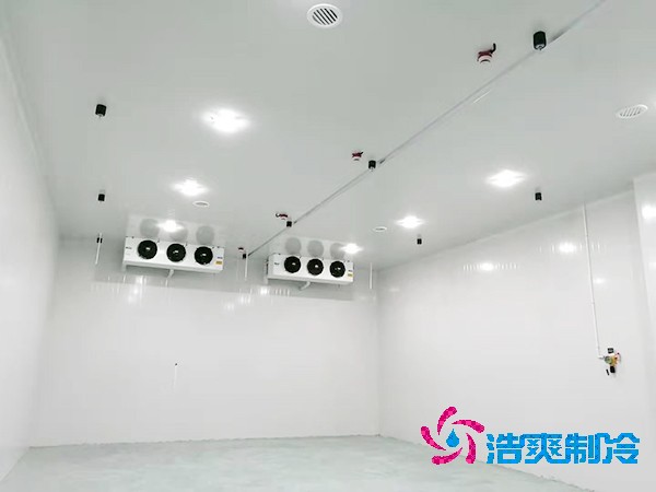 冷庫(kù)造價(jià)揭秘：300平方米到底要花多少錢？-浩爽制冷
