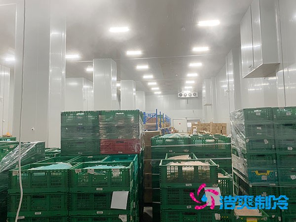 夏季蔬菜保鮮難？500噸冷庫(kù)建造價(jià)格揭秘！